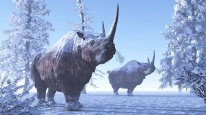 Quiz How Much Do You Know About The Ice Age Animals Animais