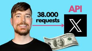 Kim Mansur (@kimmansur)