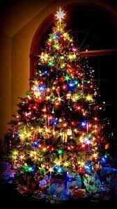 Beautiful Christmas Colorful Christmas Tree Beautiful Christmas Trees Christmas Tree Decorations