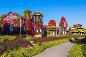 Miracle Gardens In Dubai Vae Vereinigte Arabische Emirate Franks Travelbox