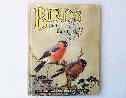 Birds And Their Eggs Pictures Vintage Bird Book Collins Wonder Colour Books Birds And Their Eggs By David Stephen Illustrated By Len Fullerton 19 Bird Book Coloring Books Vintage Birds