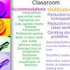 Some learners with down syndrome attend special schools where they are taught a specific curriculum and have lesson content and delivery adapted for their needs. 1