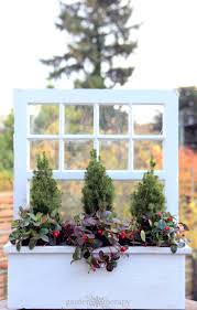 5% coupon applied at checkout. A Wonderful Winter Window Box Planter That You Can Make Even If You Don T Have A Window Box Garden Therapy