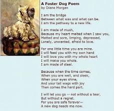 Bella Talks About Fostering Dogs In Rescue Letting Go Is Never Easy Dog Poems Foster Dog Pet Poems