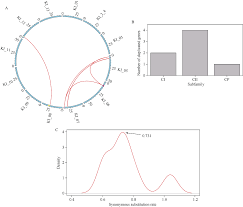 Image result for Gossypioides kirkii