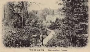 The alter botanischer garten tübingen is the former botanical garden of the university of tübingen, now a municipal park. Alter Botanischer Garten Tuepedia