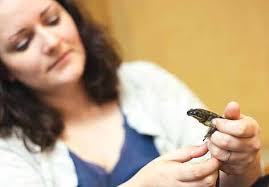 Salamanders may hold secrets