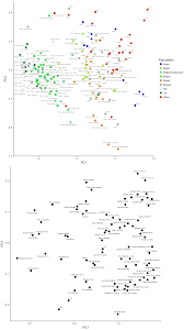 Decoding White Labs Strains From Gallone Et Al 2016