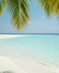 Sep 01, 2020 · description : 750 Tropical Beach Pictures Download Free Images On Unsplash