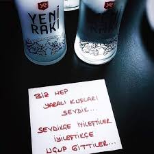 Biz Hep Yarali Kuslari Sevdik Sevdikce Iyilestiler Iyilestikce Ucup Gittiler Sozler Anlamlisozler Guzelso Alintilar Bilgelik Alintilari Ozlu Sozler