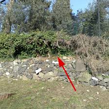 Just look at the picture, find the kitty and click or tap on the appropriate area. Bored Sitting At Home Try To Find A Cat In Each Picture