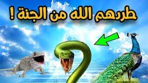 هل تعلم ما هي قصة الخمس حيوانات التي تدخل الجنة دون غيرها mp3