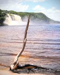 Venezuela har tropiskt klimat med små temperaturskillnader under året. Venezuela Angel Falls 2006 Foto Bild Natur Landschaft Bach Bilder Auf Fotocommunity