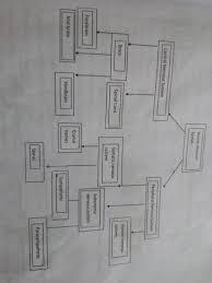 43 draw the flow chart to show the classification of