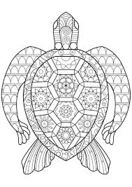 For boys and girls, kids and adults, teenagers … Coloring Pages Reptile Coloring Best For Kids Iguana Zen Turtle Coloring Home