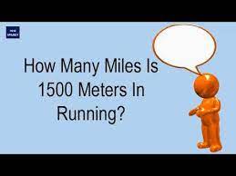 Where is the only place that tigers, rhinos, orangutans, and elephants live together in the wild? How Many Miles Is 1500 Meters In Running Youtube