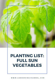 Most vegetables need an average of 6 hours of sunlight. Is 6 Hours Of Sun Enough For A Vegetable Garden Gardening Channel