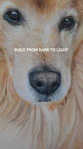 Sam Dolman (@samdolmanart) • Instagram photos and videos