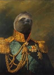 General Slothington General Of The Sloth Army In The Great Sloth Civil War Of 1872 Sloth Art Cute Baby Sloths Sloth