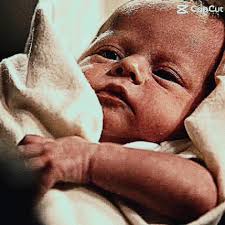 Barry Allen Sister Fanfic