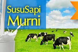 Dipakai spanduk dong biar orang lrbih banyak yg tau. Susu Murni Siap Minum Jatimurah S Blog