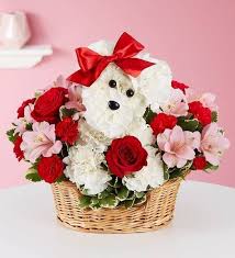Maybe you would like to learn more about one of these? 9 Best Flower Delivery Services For Valentine S Day 2021