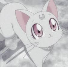 White Aes Cats Pets Cute Vintage Cartoon Aesthetic Anime Best Anime List