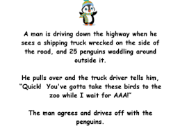 Jokes that are clean enough even for mom! Pin On Jokes Adult