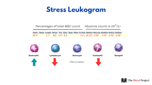 Image result for Monocyte Count