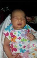 Antoinette Harwood Obituary (1988