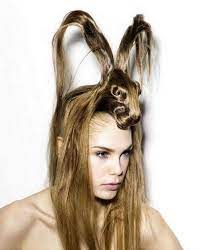 Animal15 Hair Styles Hair Humor Crazy Hair