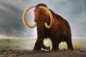 Future Zoos Could House Clones Of Extinct Species The Futures Centre