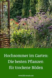 Die Besten Pflanzen Fur Trockene Boden In Deinem Garten Garten Bepflanzen Pflanzen Garten Landschaftsbau
