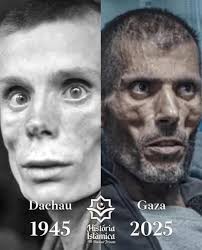 Ci chiedevamo come è potuto accadere, invece accade ora....è tutto e  consentito !