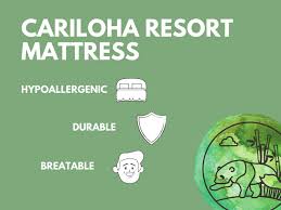 If you need assistance in how to buy a mattress, take a look at our mattress buying guide. Cariloha Resort Bamboo Mattress Review 2020 Buying Guide