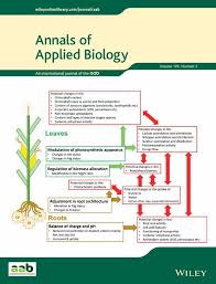 The early stage of dementia is often overlooked, because the onset is gradual. Phenological Stages Of Cultivated Northern Wild Rice According To The Bbch Scale Duquette 2020 Annals Of Applied Biology Wiley Online Library