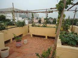 A striking type of roof garden is a design using cedar patio furniture. 16 Rooftop Garden India Ideas Rooftop Garden Garden Terrace Garden
