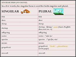 Sometimes we use a plural noun for one thing that has two parts. Class 3 Singular Plural And One Word Substitution English Square