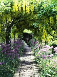 Alliums Beautiful Gardens Garden Inspiration Dream Garden