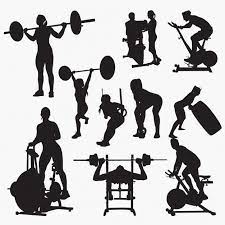 Premium Vector Fitness Gym Silhouettes Silhouette Vector Silhouette Architecture Clip Art