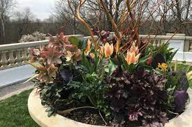 If you're growing perennials in a mixed flower bed, watch how the sun moves across your garden, and plant tall perennials where they won't shade shorter plants. Best Flowers For Container Gardening Perennials Annuals The Old Farmer S Almanac