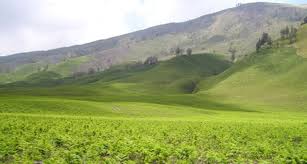 Inilah 46+ lukisan pemandangan fuji. Paket Wisata Ke Gunung Bromo Paket Wisata Malang Sewa Mobil Malang Nayfa