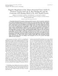 Image result for Black 1995 AAV