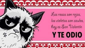 Frases de amor para san valentín. 10 Frases Anti San Valentin Para Celebrar El 14 De Febrero 2018