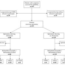 Flow Chart Of Inclusion And Diagnostic Work Up Copd