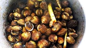 Hasil laut memang tidak ada habisnya untuk bisa kita konsumsi. Resepi Kuah Kacang Kerang Rebus Resepi Merory Sedap Betul