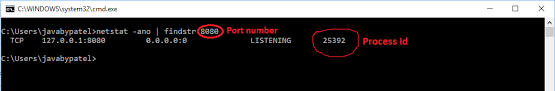 This shows details on the services listening to the port 53 , such as the process id of the service and service name command : Javabypatel Data Structures And Algorithms Interview Questions In Java Kill Process On Port 8080 In Windows