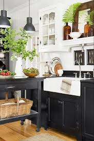 And they also make a matte finish for a more durable paint specific for wood cabinets. 11 Black Kitchen Cabinet Ideas For 2020 Black Kitchen Inspiration