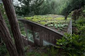 le toit vegetal en 77 photos archzine fr toit vegetal toit vert toit vegetalise