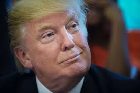 Result Page 998 for Donald Trump news & latest pictures from Newsweek.com